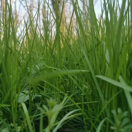 Jumiko Appartamento Vrnjačka Banja