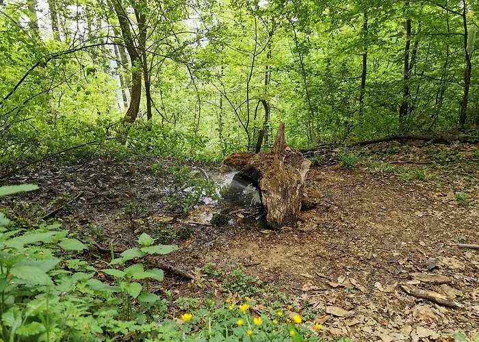 Jumiko * Vrnjačka Banja