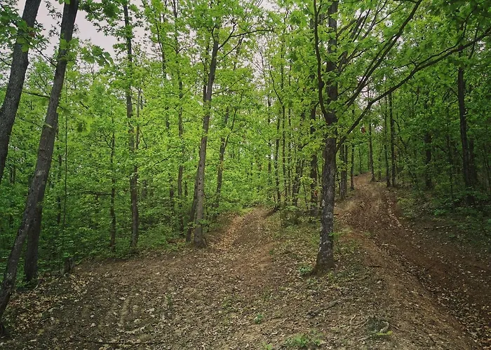 아파트 Jumiko Vrnjačka Banja