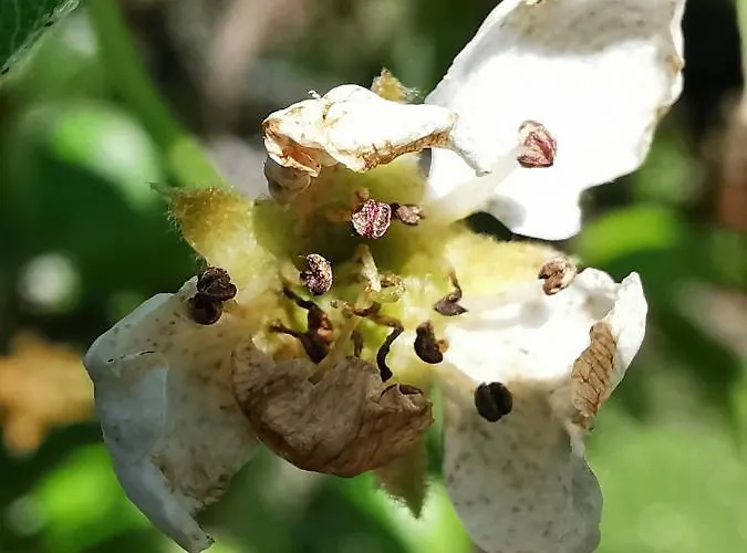 アパート Jumiko Vrnjačka Banja